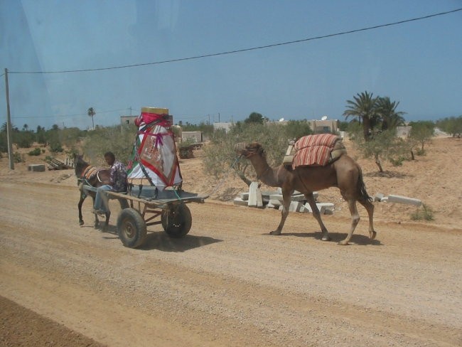 Djerba - foto povečava