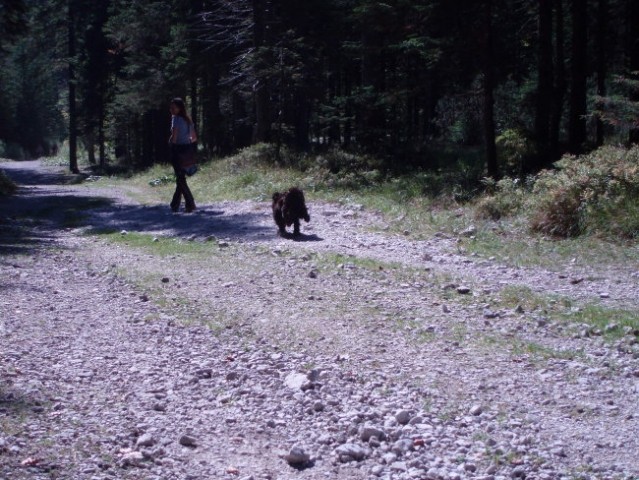 Potepanje po Tamarju in Pokljuki - foto