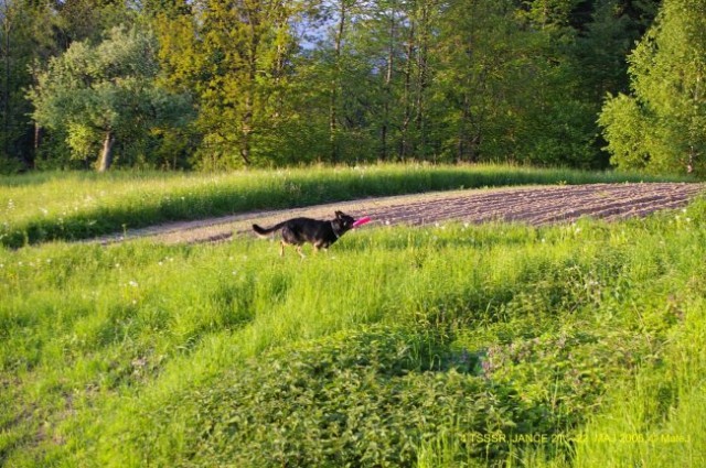 4. TSSSR, JANČE 2005 - foto