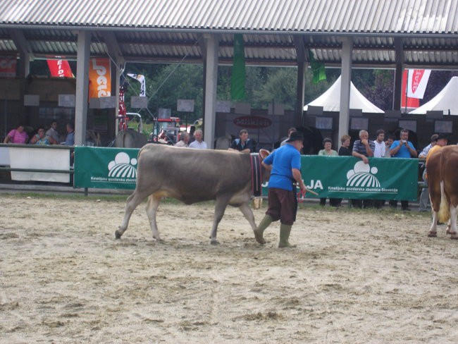 Razstava zivali 2006 - foto povečava