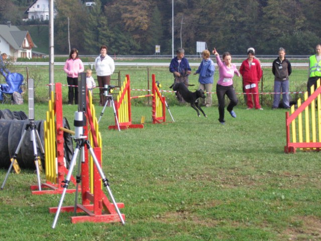 Agility- finalna tekma 07 - foto