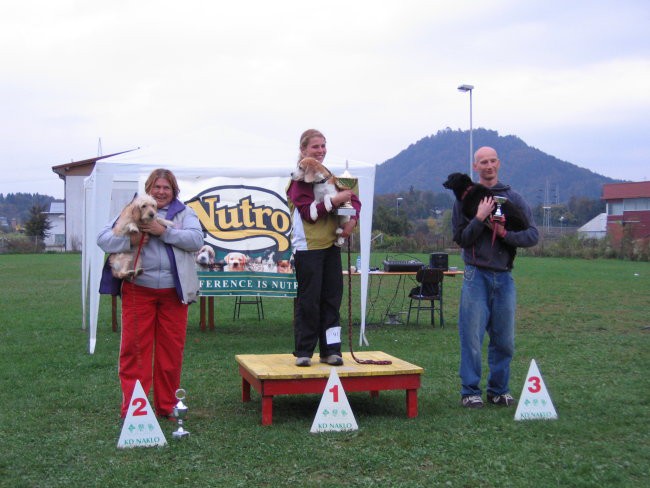 Agility- finalna tekma 07 - foto povečava
