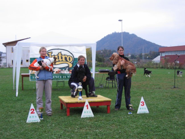 Agility- finalna tekma 07 - foto povečava