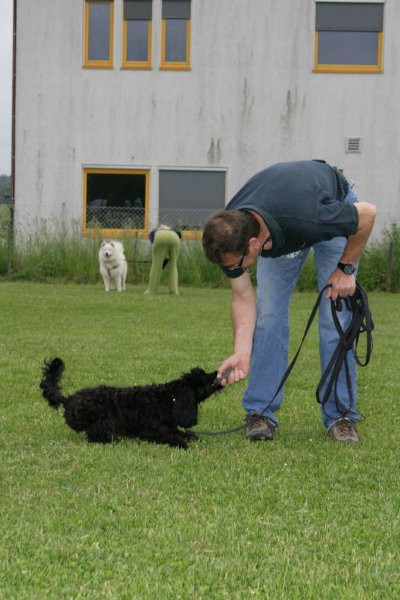 Mala šola, pomlad 2008 - foto