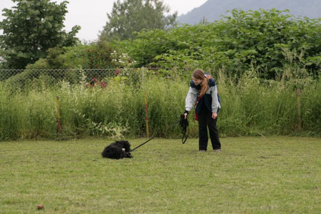 Mala šola, pomlad 2008 - foto povečava