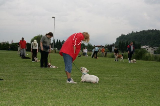 Mala šola, pomlad 2008 - foto