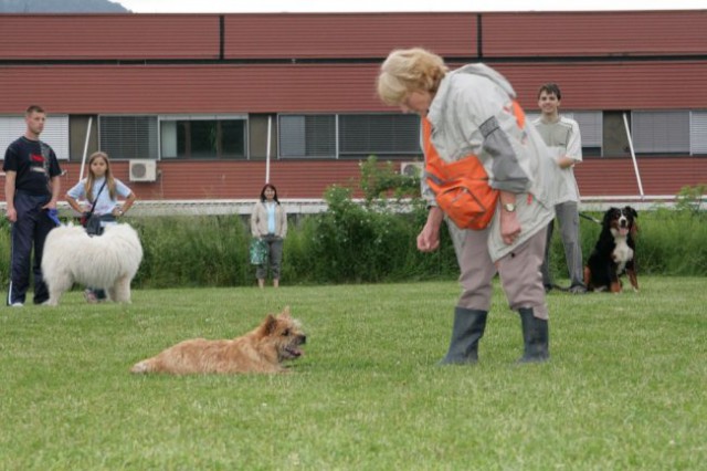 Mala šola, pomlad 2008 - foto