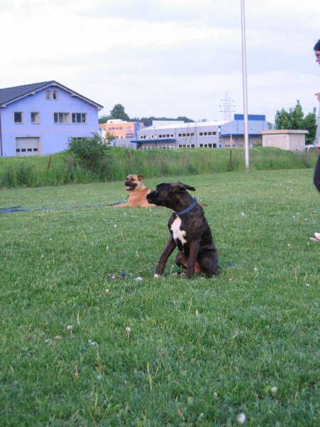 Mala šola, pomlad 2008 - foto povečava