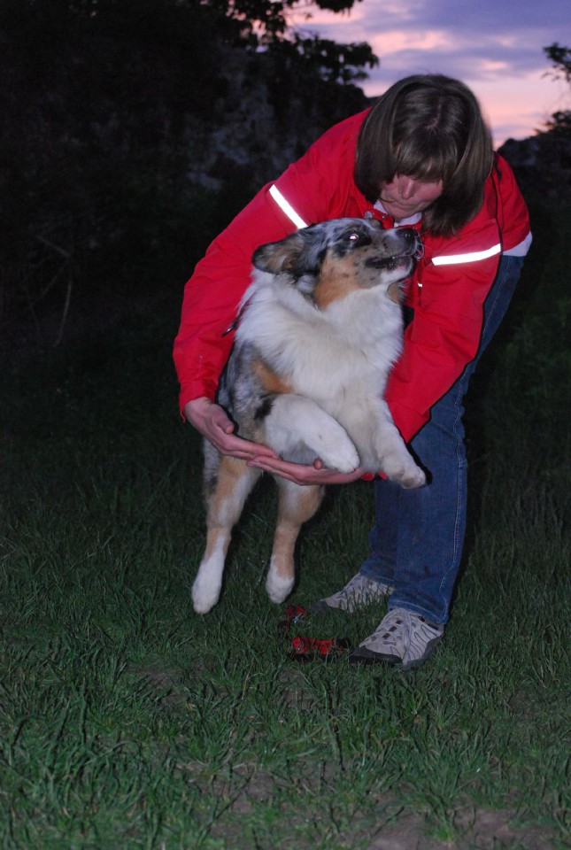 Mala šola, pomlad 2009 - foto povečava