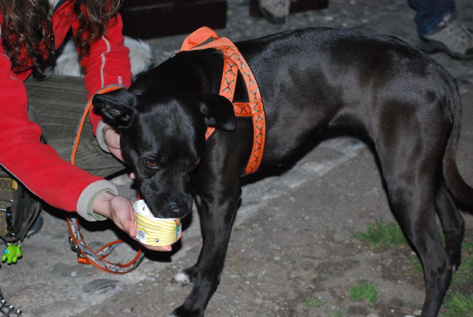 Mala šola, pomlad 2009 - foto povečava