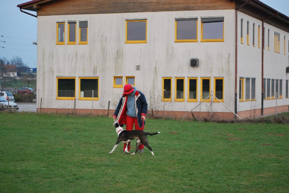 Mala šola, pomlad 2009 - foto povečava