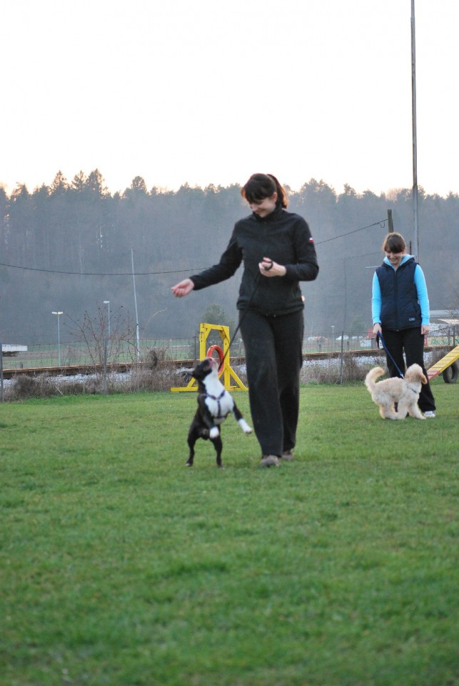 Mala šola, pomlad 2009 - foto povečava