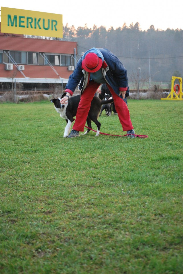 Mala šola, pomlad 2009 - foto povečava