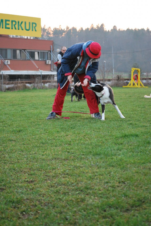 Mala šola, pomlad 2009 - foto povečava