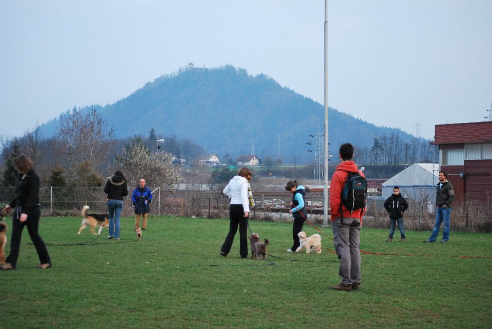 Mala šola, pomlad 2009 - foto povečava