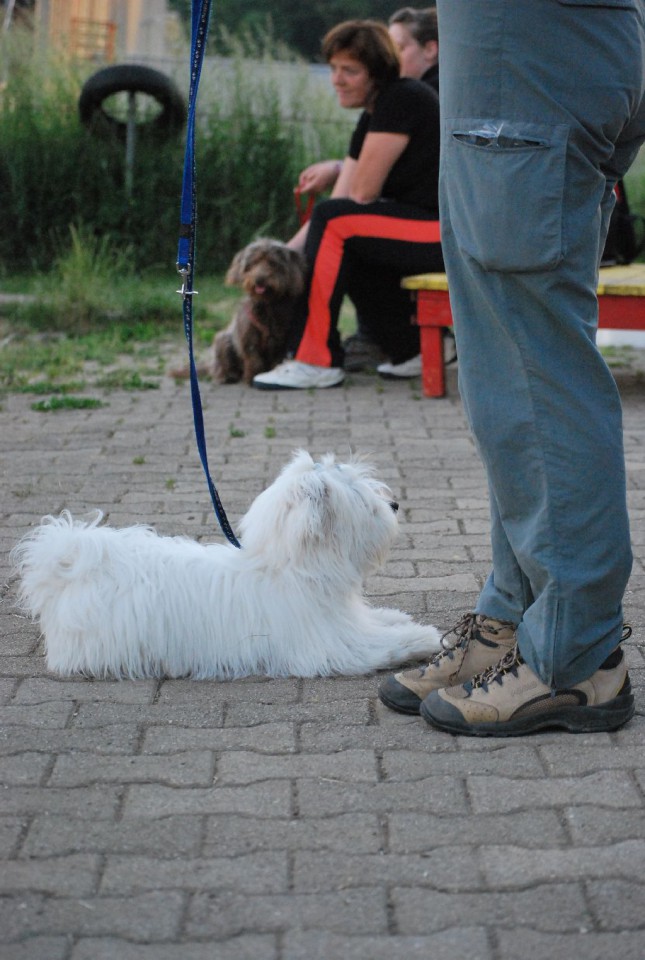 Mala šola, pomlad 2009 - foto povečava