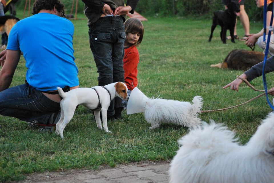 Mala šola, pomlad 2009 - foto povečava