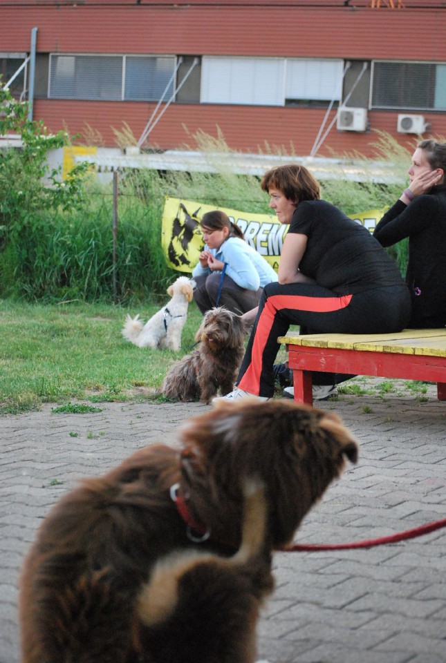 Mala šola, pomlad 2009 - foto povečava