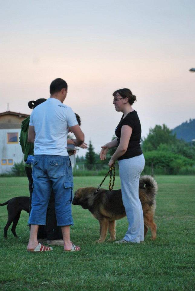 Mala šola, pomlad 2009 - foto povečava