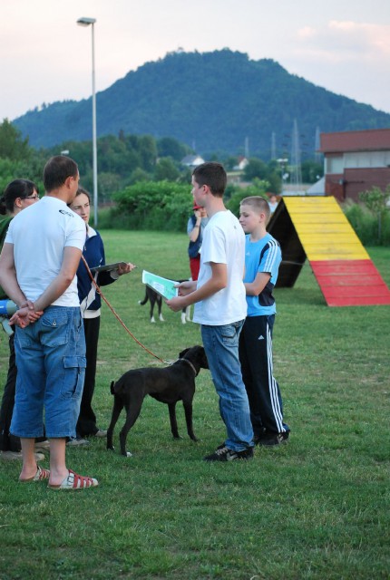 Mala šola, pomlad 2009 - foto