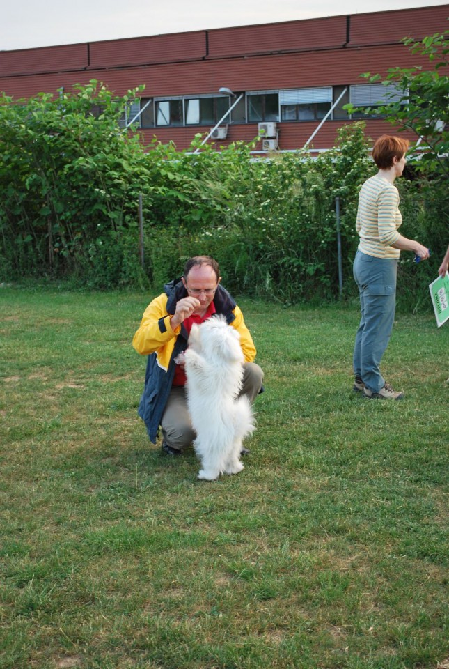 Mala šola, pomlad 2009 - foto povečava