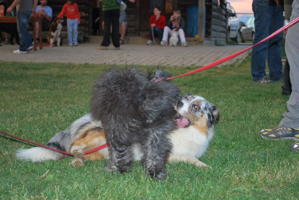 Mala šola, pomlad 2009 - foto povečava