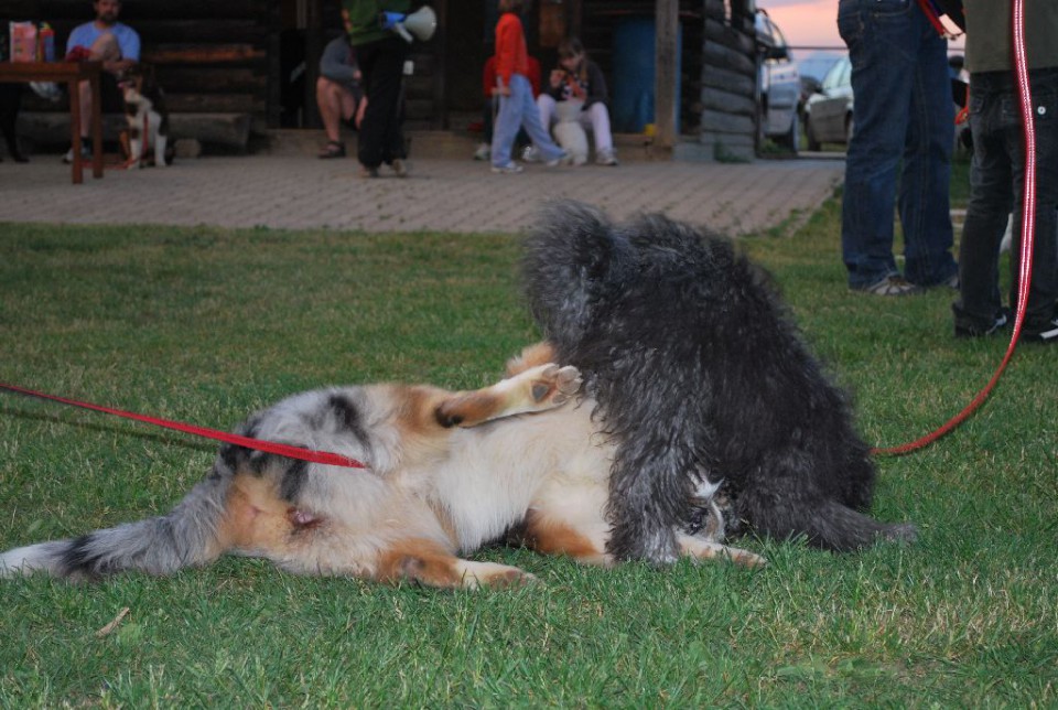 Mala šola, pomlad 2009 - foto povečava