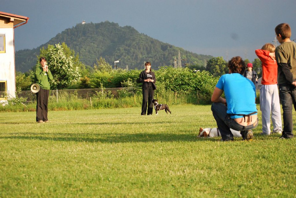 Mala šola, pomlad 2009 - foto povečava