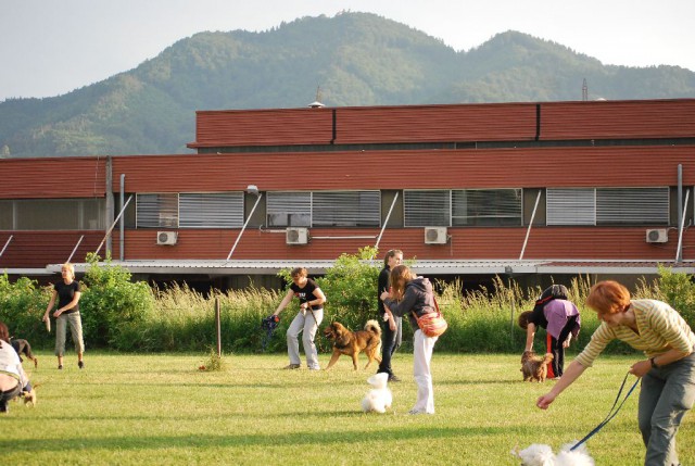 Mala šola, pomlad 2009 - foto