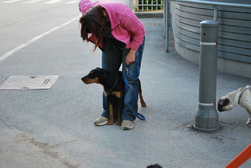 Mala šola, pomlad 2009 - foto povečava