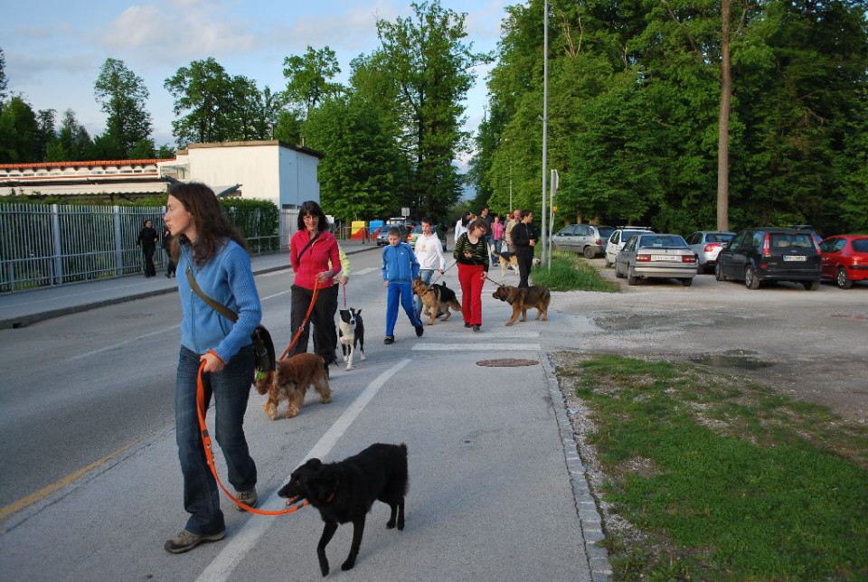 Mala šola, pomlad 2009 - foto povečava