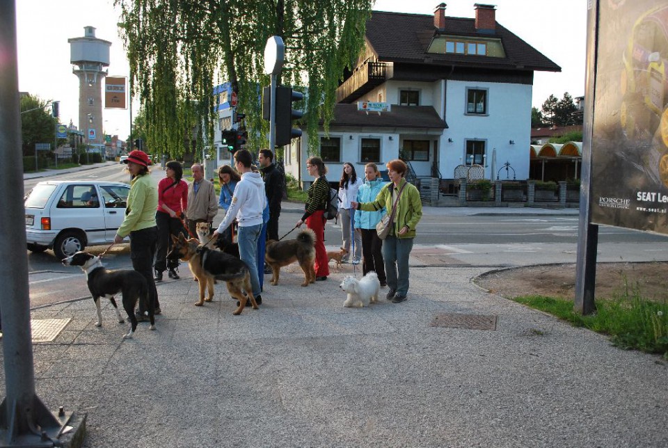 Mala šola, pomlad 2009 - foto povečava