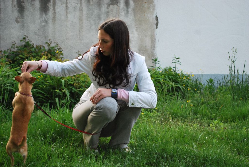 Mala šola, pomlad 2009 - foto povečava