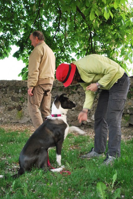 Mala šola, pomlad 2009 - foto