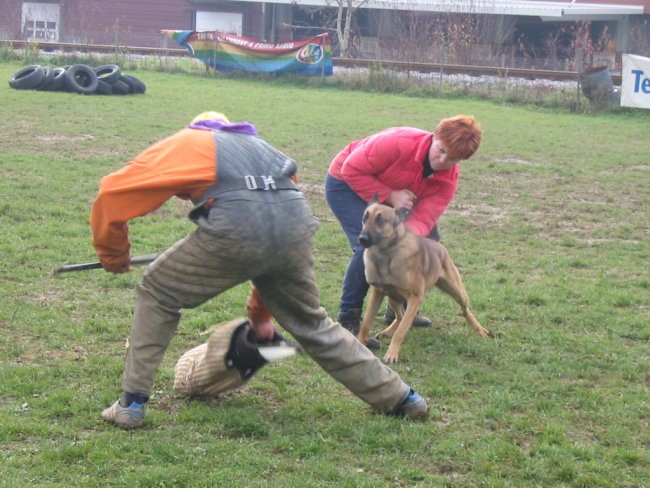 Klasika-trening - foto povečava