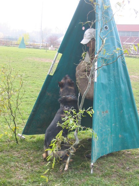 Klasika-trening - foto