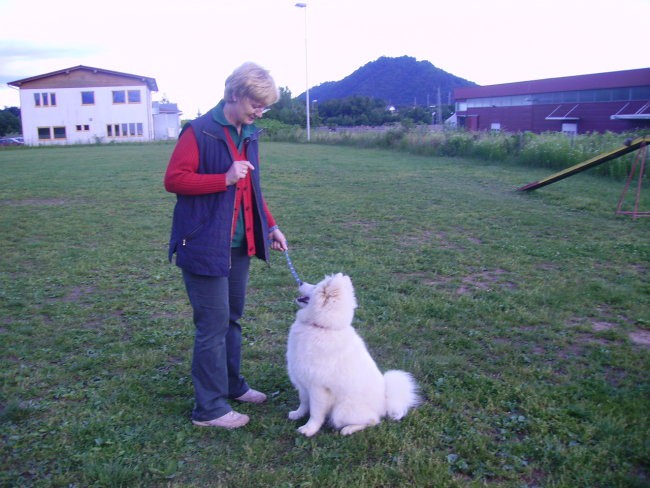 Mala-sola, pomlad 2007 - foto povečava