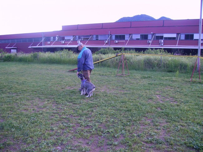 Mala-sola, pomlad 2007 - foto povečava