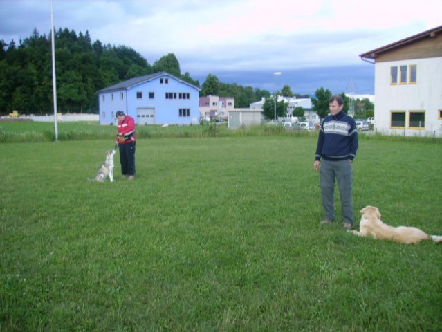 Mala-sola, pomlad 2007 - foto