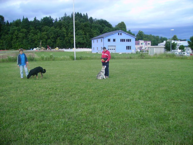 Mala-sola, pomlad 2007 - foto povečava