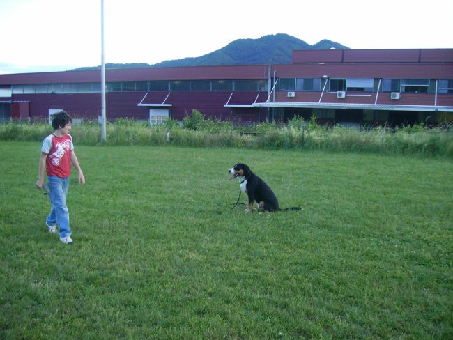 Mala-sola, pomlad 2007 - foto povečava