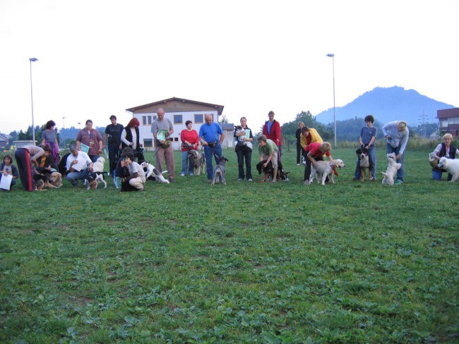 Mala-sola, pomlad 2007 - foto povečava