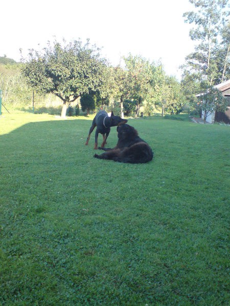 čarna na morju in s kiro - foto