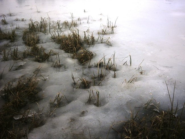 čarna na trreh kraljih - foto povečava