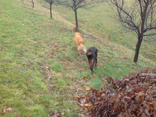 čarna in neli - foto povečava