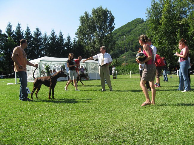 Dobermann trophy winner show Graz 07 - foto povečava