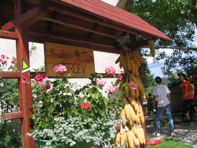 Piknik 2007 - foto povečava