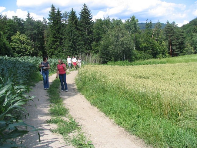 Piknik 2007 - foto povečava