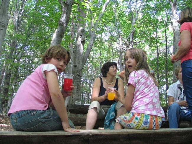 Piknik 2007 - foto povečava