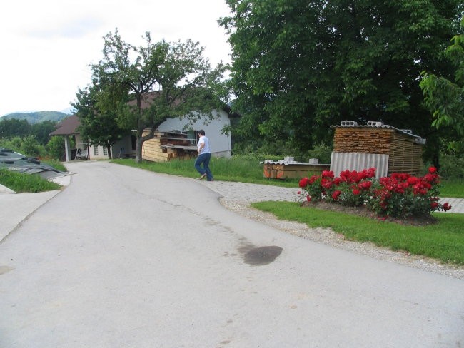 Piknik 2007 - foto povečava